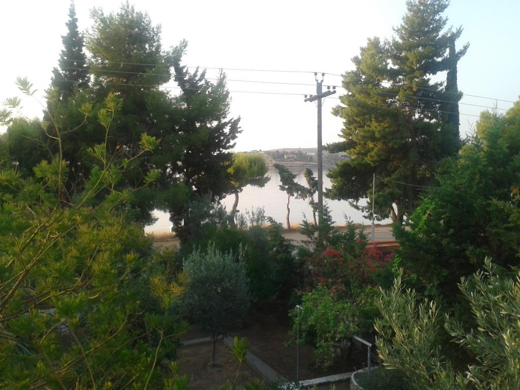 Elea Guesthouse Galaxídhion Exteriör bild