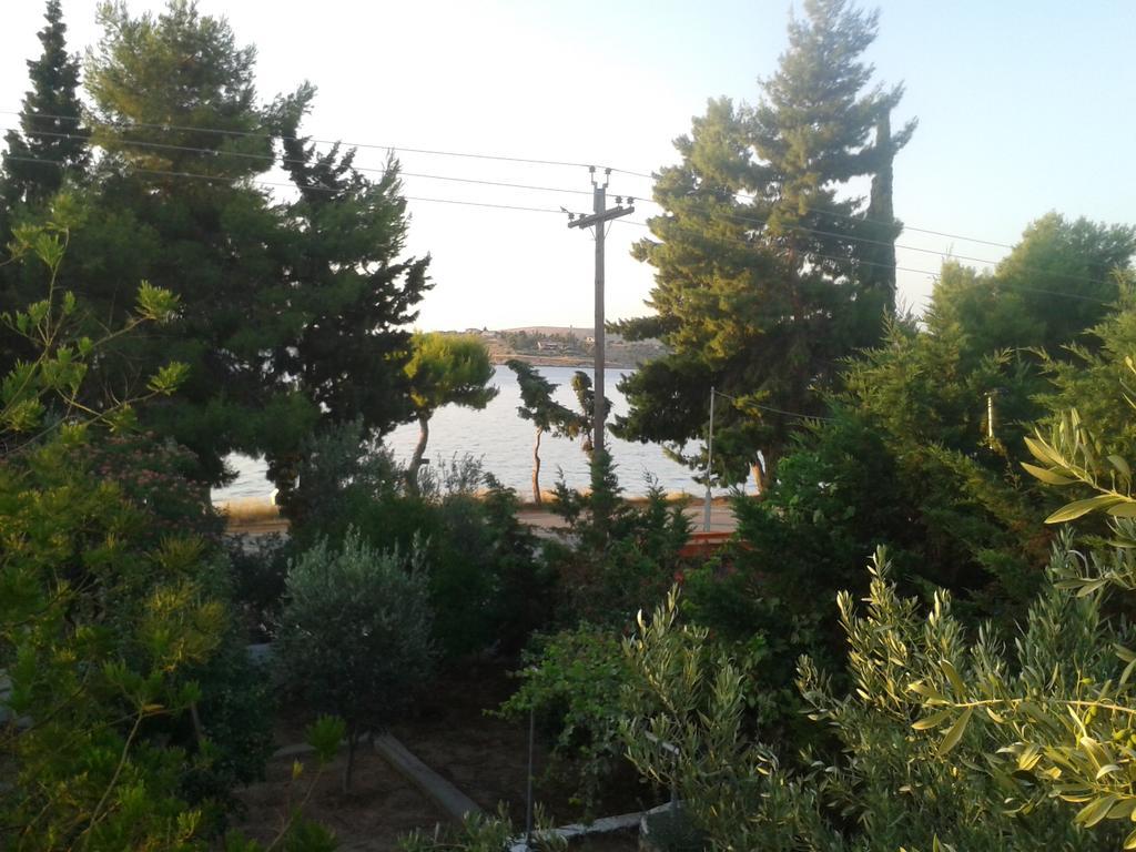 Elea Guesthouse Galaxídhion Exteriör bild
