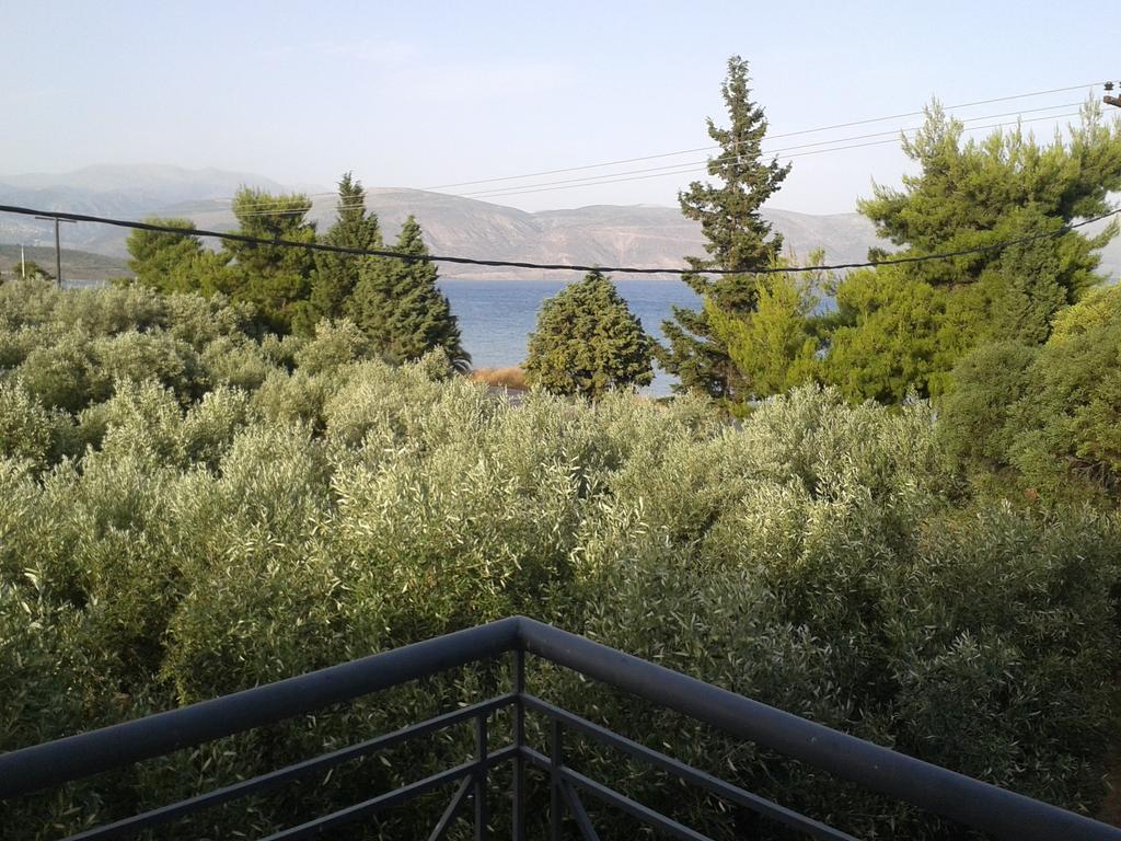 Elea Guesthouse Galaxídhion Rum bild