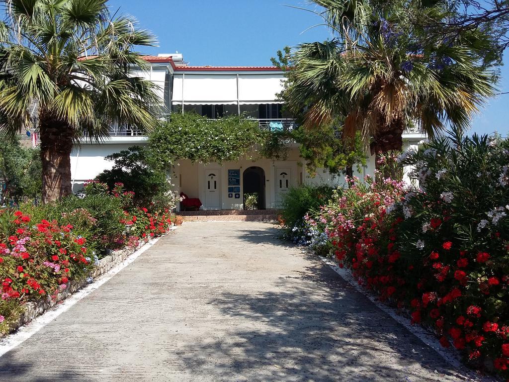 Elea Guesthouse Galaxídhion Exteriör bild